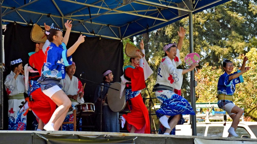 Matsuri photo 2