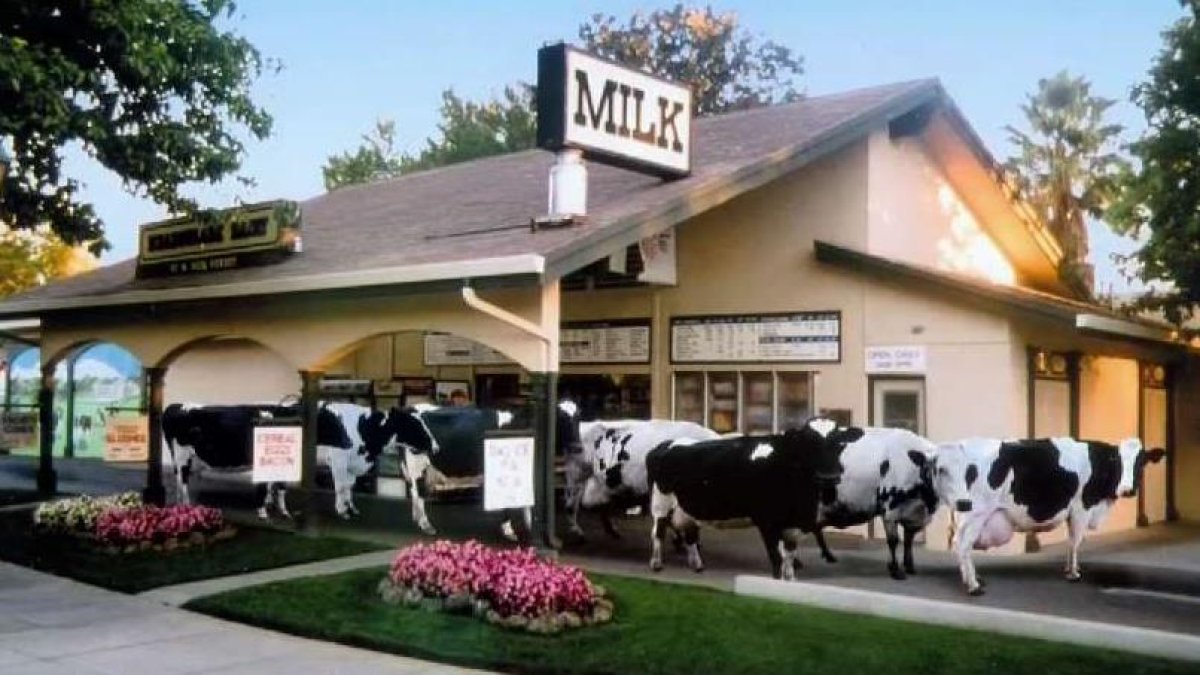 Meadowlark Dairy in Pleasanton Gives Back to the Community NBC Bay Area