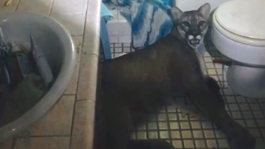 MountainLionBathroom