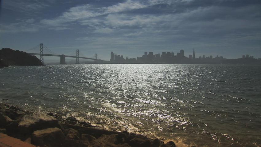 N11A SF BAY TOXIC ALGAE VO - 00004719