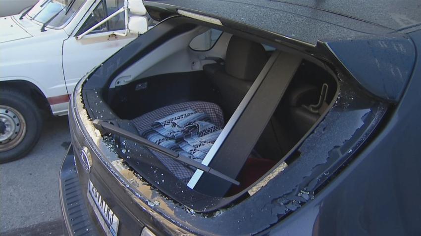 N11A SF CAR BREAK-INS PKG FEED - 10491409