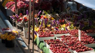 OB-Farmers-Market-Troy-Orem