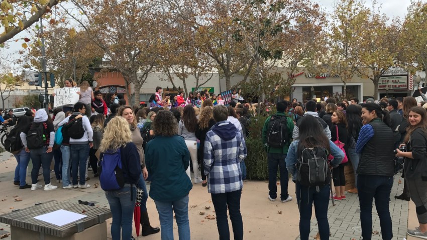 PALO ALTO PROTEST PIC