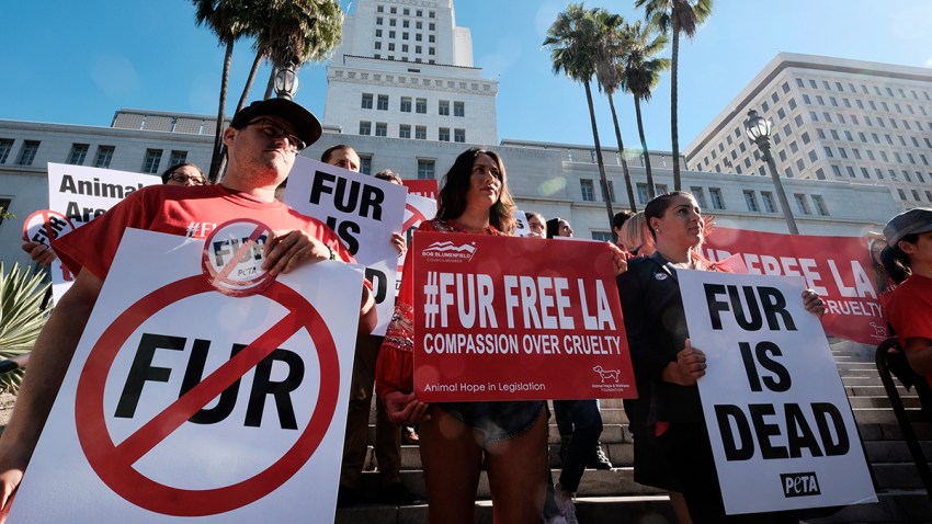 California New Laws