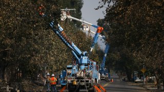 PG&E workers near lines and trees.