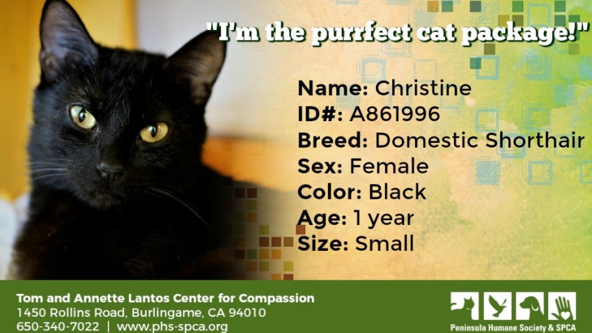 POTW Christine A861996