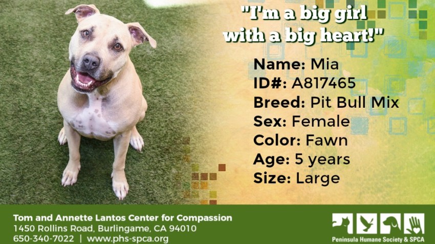 POTW Mia A817465