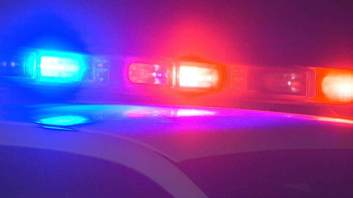 Woman, dog fatally struck by driver in Novato