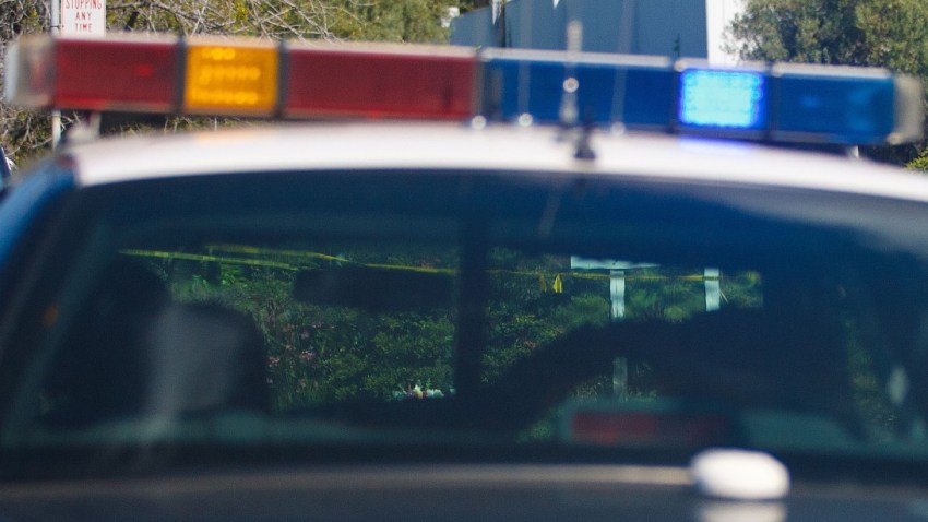 PoliceFile5
