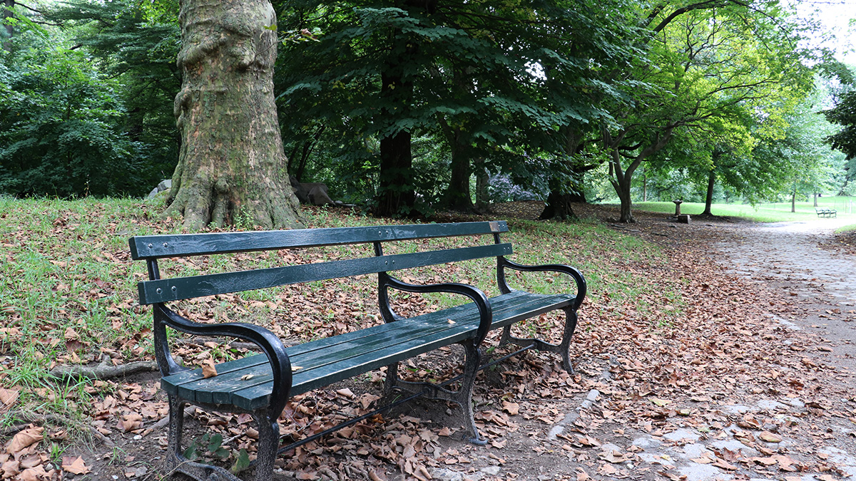 Open land may become park