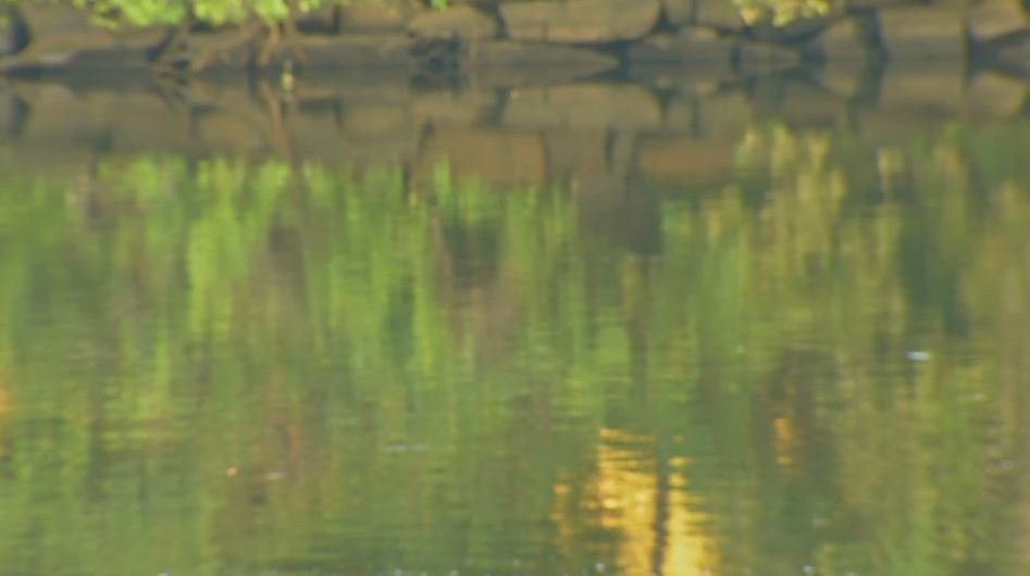 Baykeeper Sues Santa Clara Valley Water Alleging Practices That Are 'Fatal to Fish' – NBC Bay Area - Vimarsana News