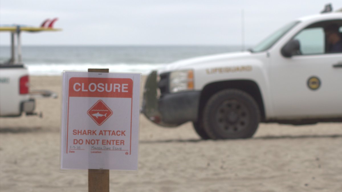 Surfer Killed in Santa Cruz County Shark Attack: Officials – NBC Bay Area