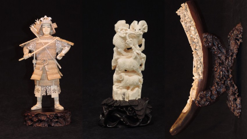SFmissingivory