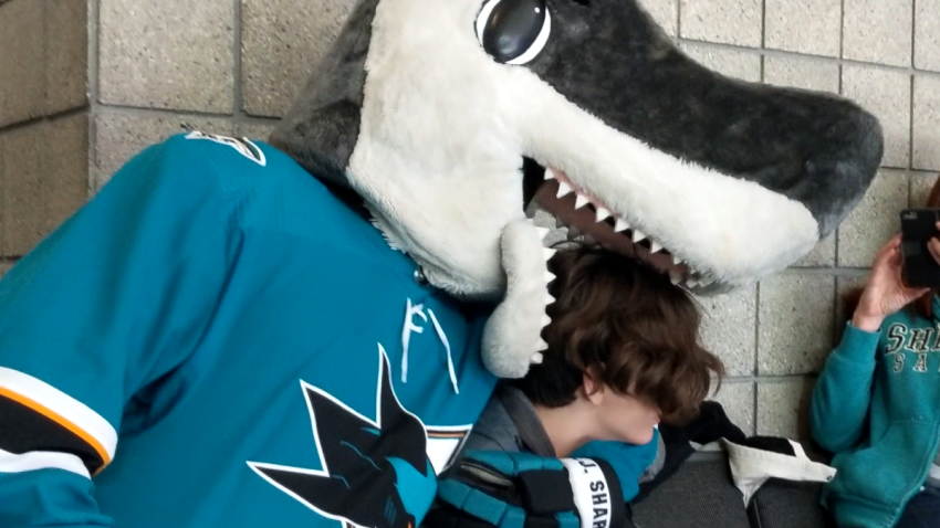 SHARKIE-STILL-FOR-SOCIAL