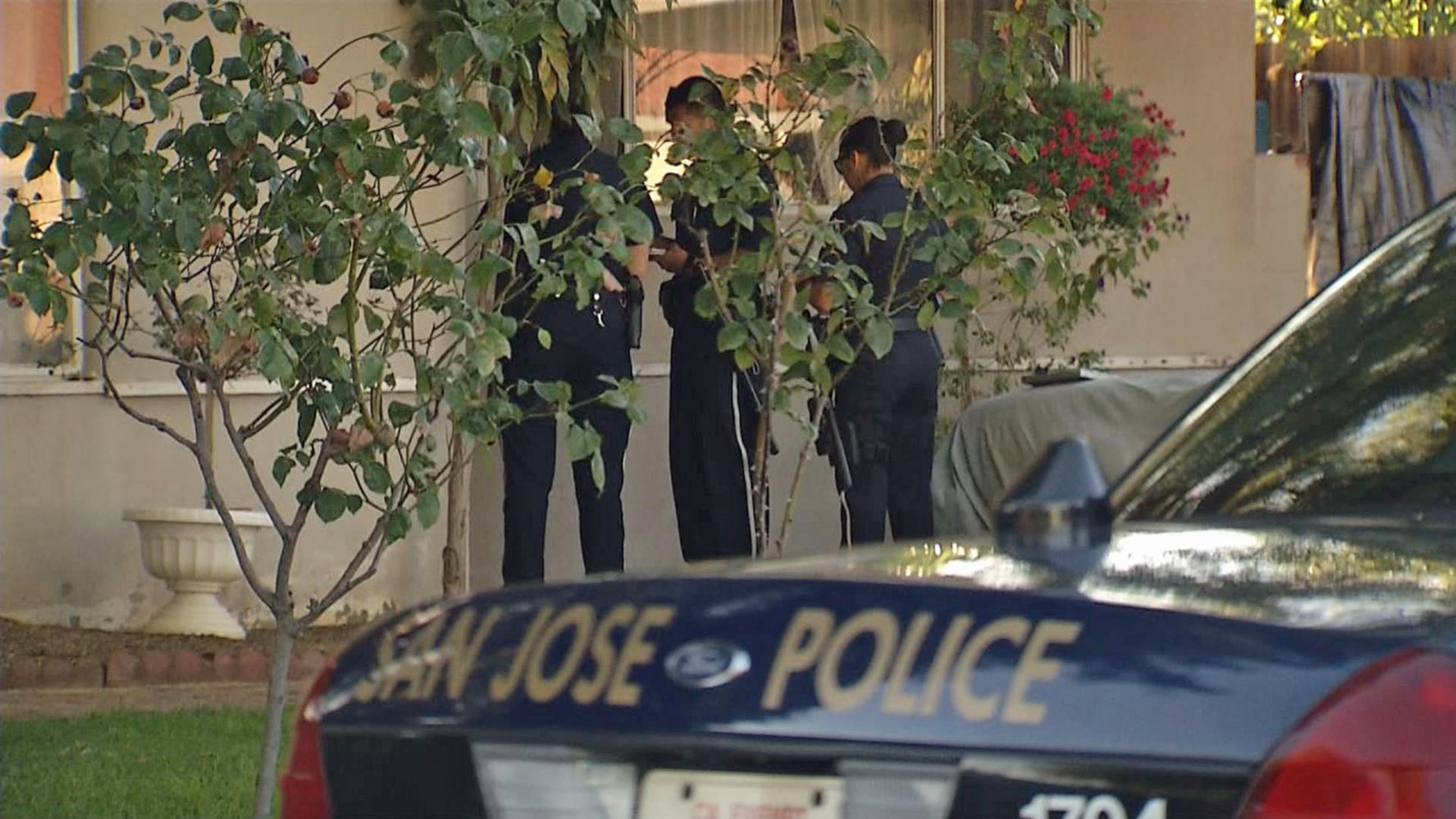 San Jose Police Make Several Weapons, Drug Arrests NBC Bay Area