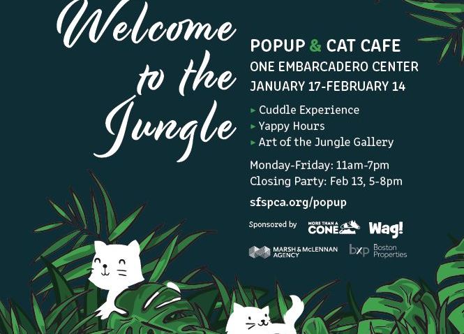 SPCAJungle
