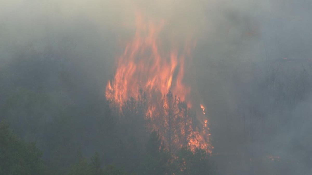 QuicklyGrowing Elk Fire Scorches 450 Acres in Lake County and is 20