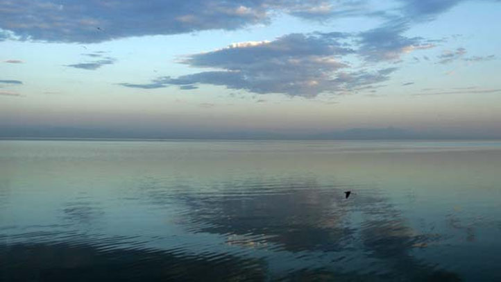 Salton Sea1