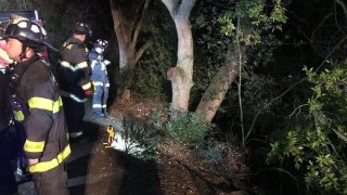 Crews work to rescue a person after they crashed into a creek in San Jose.