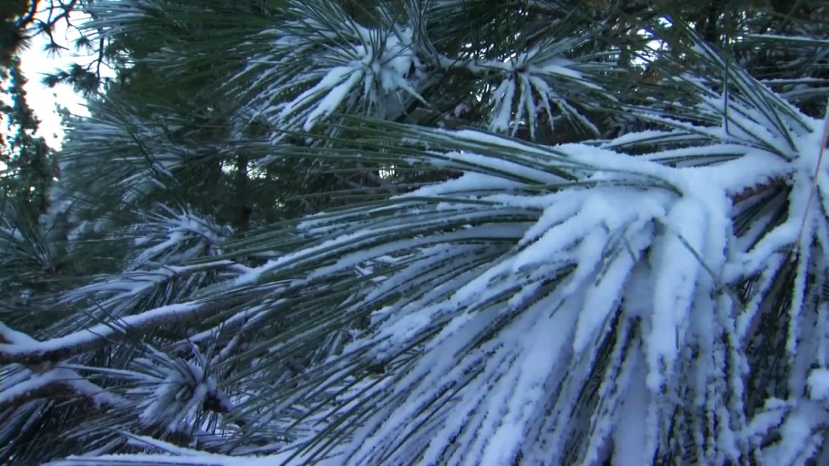 Sierra Snowpack Numbers Slipping - Vimarsana News