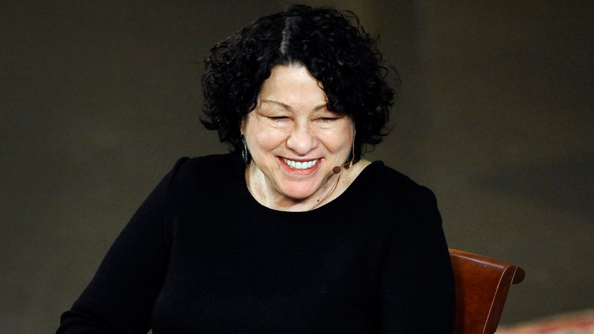 Yale Sotomayor
