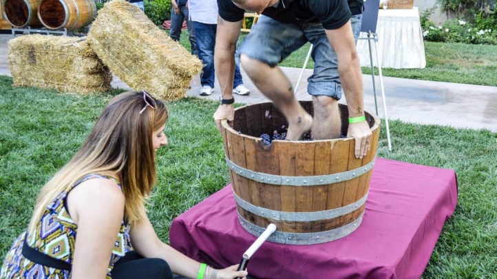 SouthCoastWinery_GrapeStomp