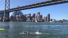 Swimmer bay bridge