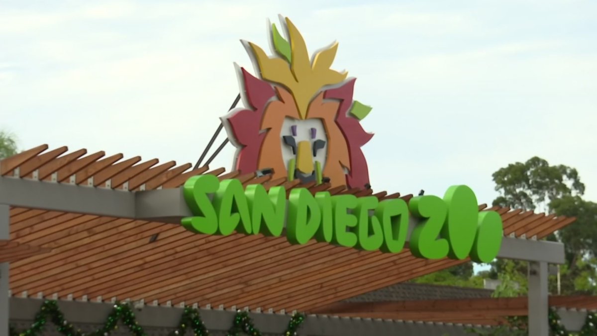 Skyfari Ride Passengers at the San Diego Zoo Get Stuck for an Hour After Vandalism Caused the Ride to Stop: SDPD - Vimarsana News