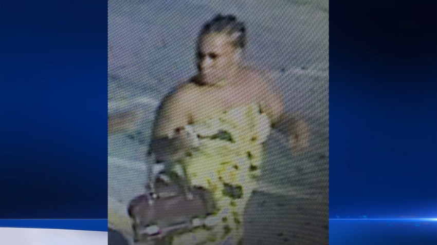 Target-Bleach-Attack-Suspect