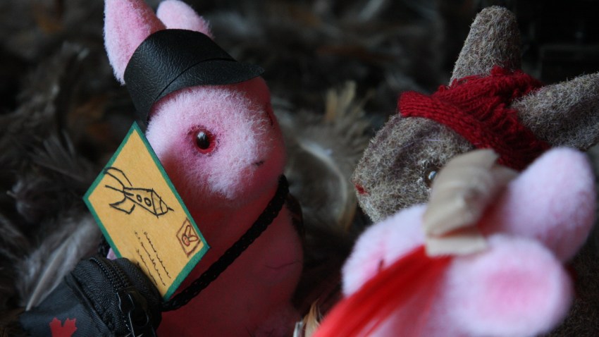 The_Girl_Bunnies._ROCKETSHIP._(still_2)