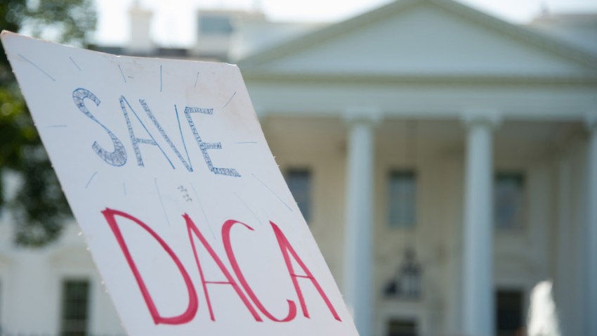 Tlmd-save-daca