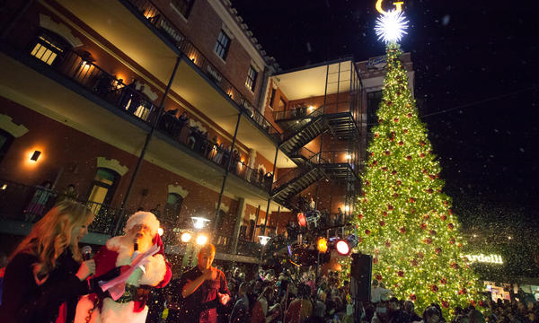 Tree12-0321