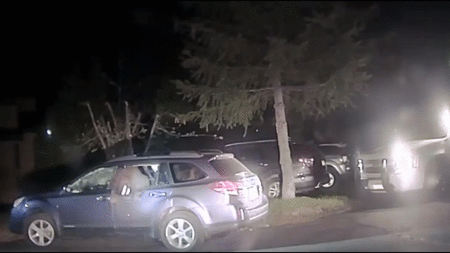 WEBBEARCARGIF_3197720