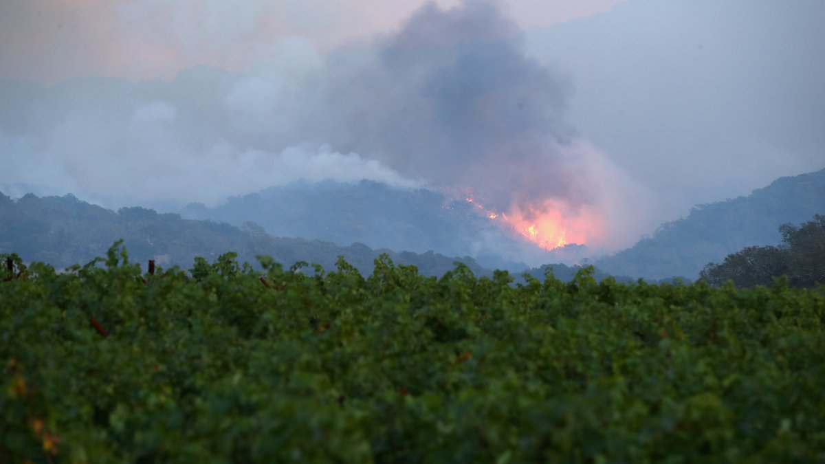 Wildfires Again Threaten Businesses in California Wine County – NBC Bay ...