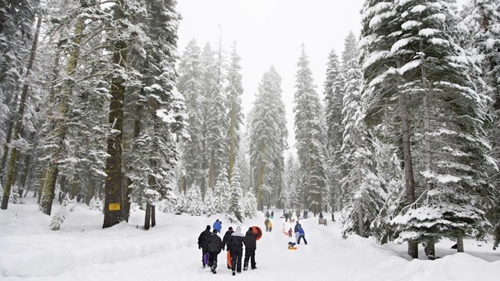 WinterSnowPlaysequoia123