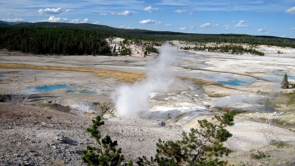 Yellowstone: Woman in Critical Condition After Trying to Save Dog From Hot Spring – NBC Bay Area - Vimarsana News