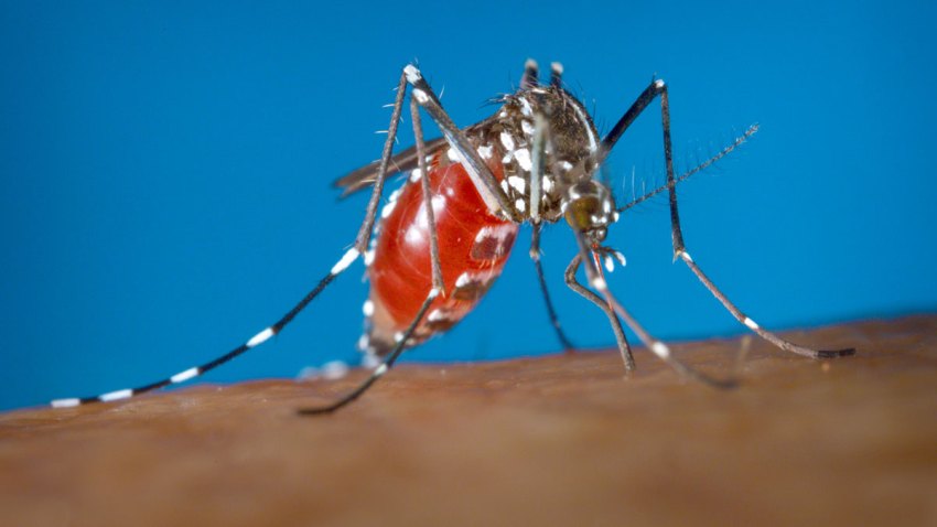 CORRECTION Zika Virus US Warning