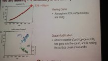 atmosphere CO2 ocean acidification