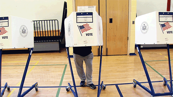SF Election Department Reminds Voters of Legal Rights - Vimarsana News