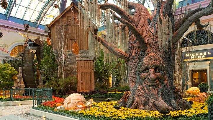 bellagiofalltree123