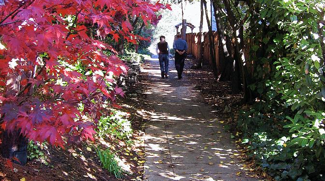berekleywalks