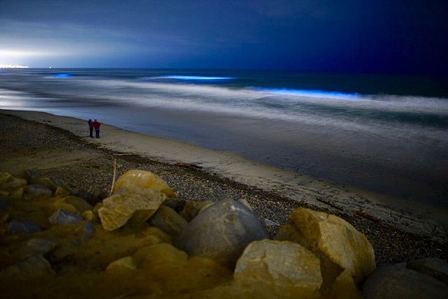 San Diego Photographers Capture Ocean’s Bright Blue Bioluminescent Glow ...