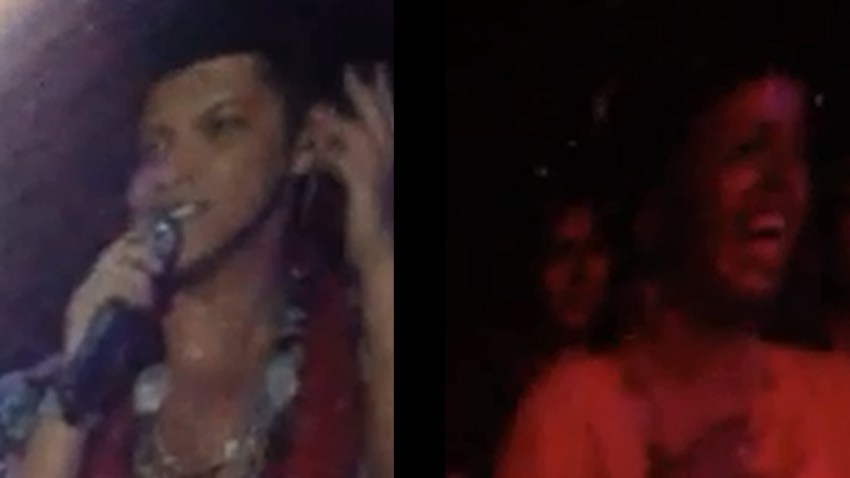 bruno7