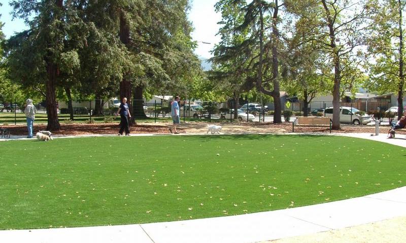 Butcher Dog Park