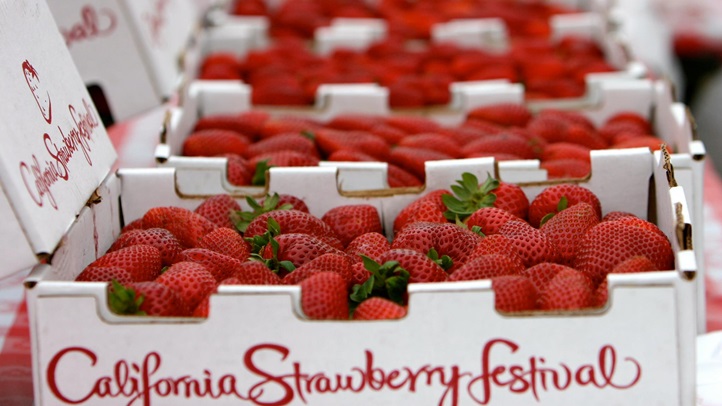 californiastrawberryfestivalboxes2