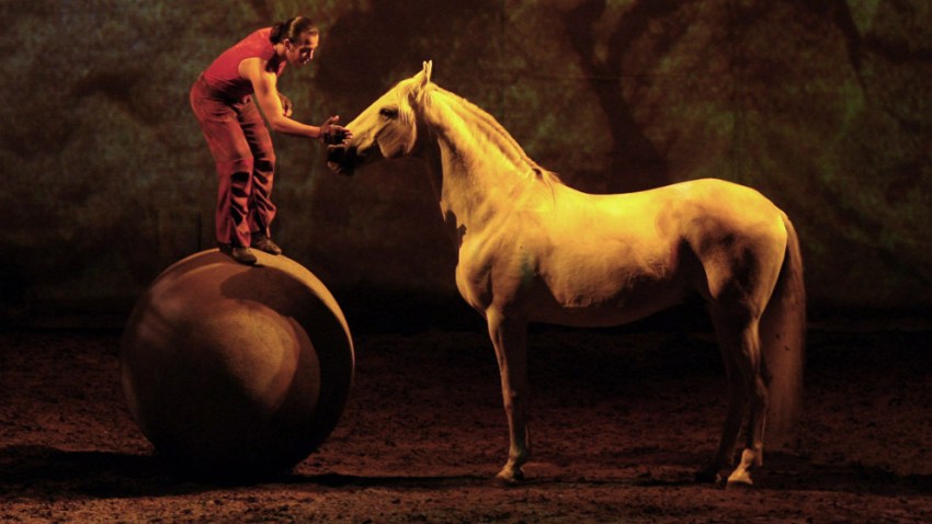 cavalia1