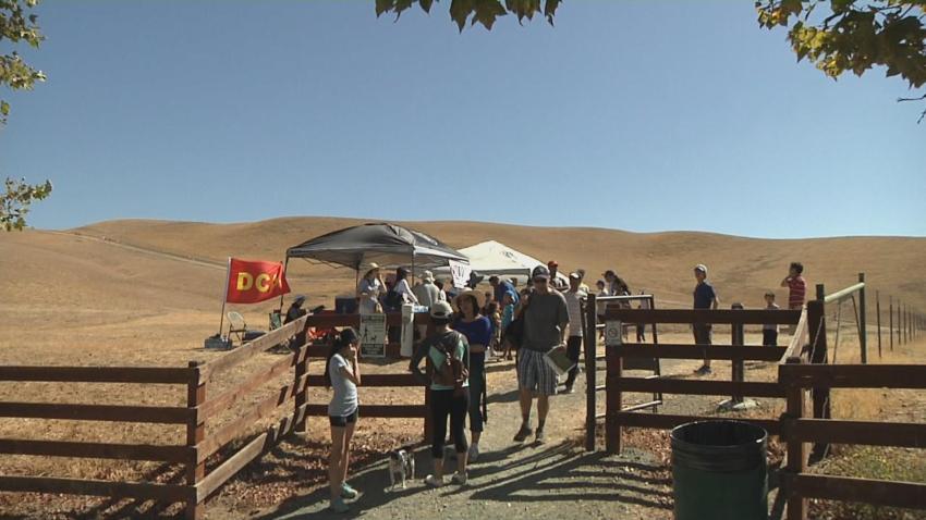cemetery_walk_san_ramon