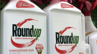 Roundup Weed Killer Cancer