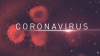 List of Coronavirus Cases in the Bay Area