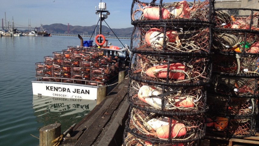 crab18